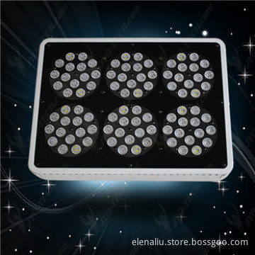 Apollo led grow light